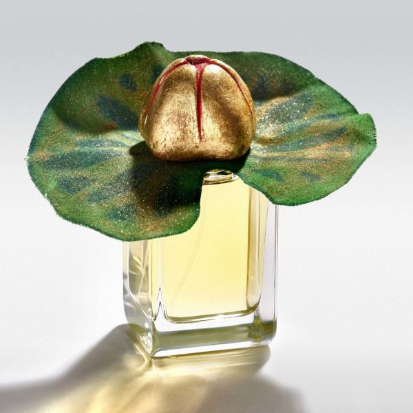 Mauna Limited Edition