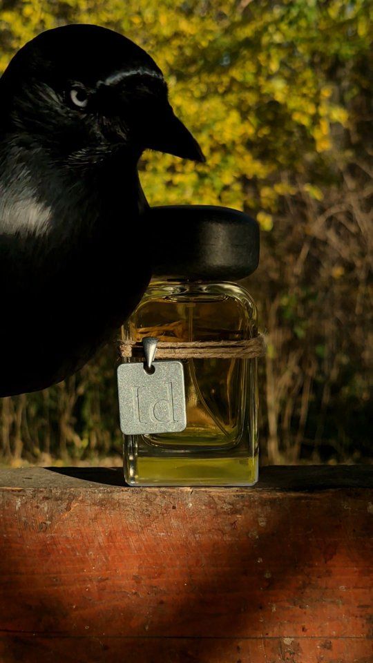 ID

Birds of a feather flock together: ID, with its black lava heart, looks irresistible to a winged visitor.

Essential, rich and wild, Id is the dark passion that drives us onward toward our dreams. Inspired by Iddu, a local nickname for the living volcano that towers over the island of Stromboli, Id is an olfactory dedication to this fiery primal being that first breathed Mendittorosa into life. Impassioned and untethered, an iris heart lies beneath volcanic sediments of violet and oud. An overdose of labdanum gives Id its truly distinctive raw character.

#mendittorosa #nicheperfume #perfume #fragrance #crow #jackdaw #profumo